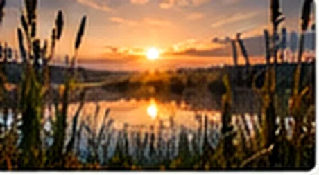 Przyroda i wędkarskie inspiracje nad wodą