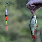 Moja wyprawa na dorsza do Danii – dziennik z podróży