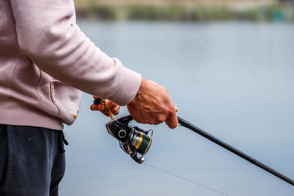 Barramundi – smaczny wojownik z Australii