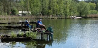 Dwóch wędkarzy na drewnianych pomostach nad spokojnym jeziorem